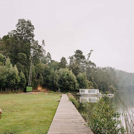 Pura Lodge Concepción المظهر الخارجي الصورة